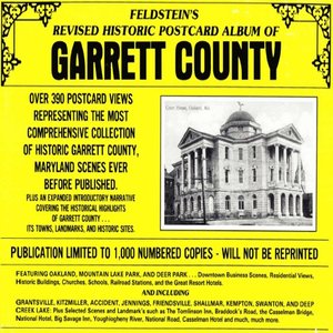cover image of Feldstein's Historic Postcard Album of Garrett County